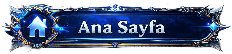 Ana Sayfa